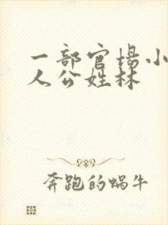 一部官场小说主人公姓林