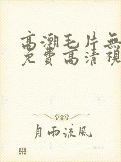 高潮毛片无遮挡免费高清视频