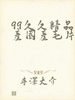 99久久精品国产国产毛片