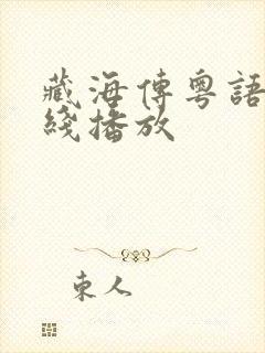 藏海传粤语版在线播放