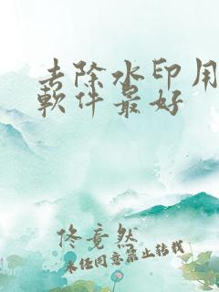 去除水印用什么软件最好