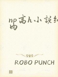 np高h小说纯肉
