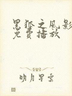 黑狐之风影全集免费播放