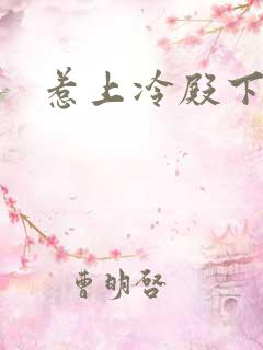 惹上冷殿下小说