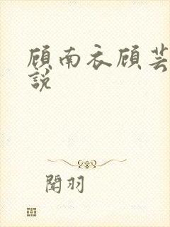 顾南衣顾芸沐小说