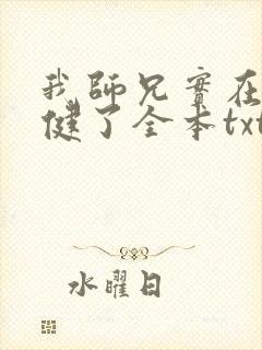 我师兄实在太稳健了全本txt下载