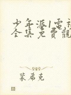 少年派1电视剧全集免费观看