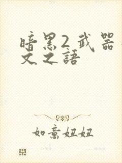 暗黑2 武器符文之语