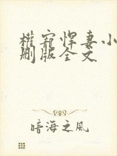 权宠悍妻小说未删版全文