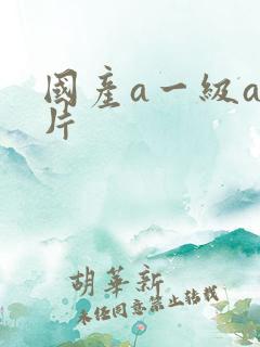 国产a一级a爱片