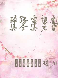 归路电视剧30集全集免费观看