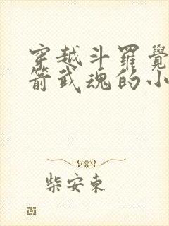 穿越斗罗觉醒弓箭武魂的小说