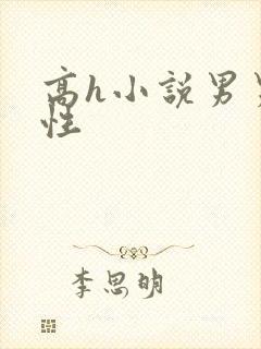 高h小说男男双性