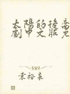 太阳的后裔电视剧中文版免费观看