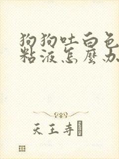 狗狗吐白色泡沫粘液怎么办