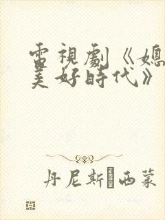 电视剧《媳妇的美好时代》