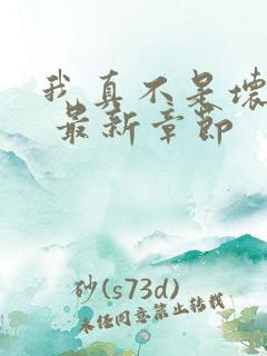 我真不是坏男人 最新章节