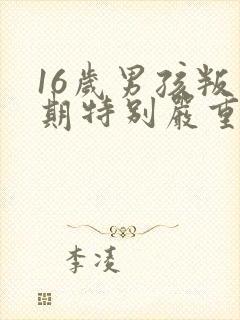 16岁男孩叛逆期特别严重怎么办还打父母