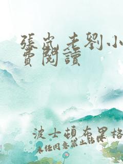 张岚老刘小说免费阅读