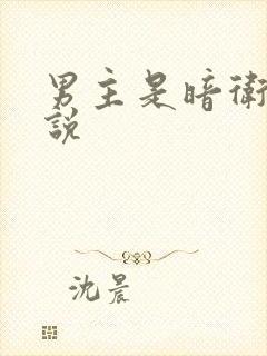 男主是暗卫的小说