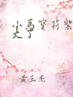 小马宝莉紫悦长大了