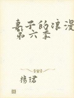 妻子的浪漫旅行 第六季