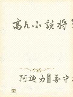 高h小说将军