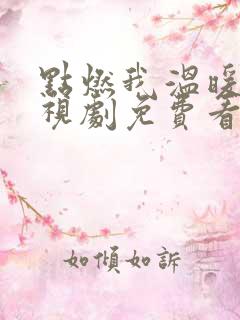 点燃我温暖你电视剧免费看完整版