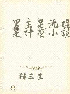 男主是沈砚修的是什么小说