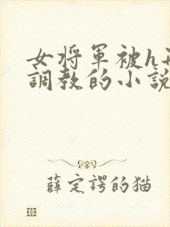 女将军被h刑具调教的小说将军奴