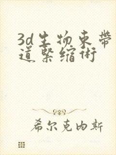 3d生物束带阴道紧缩术