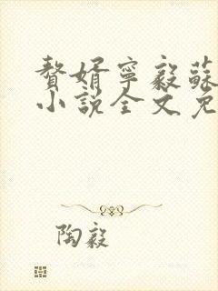 赘婿宁毅苏檀儿小说全文免费阅读