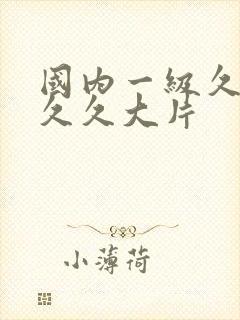 国内一级久久久久久大片