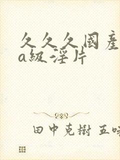 久久久国产aaa级淫片