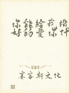 你能给我机会好好的爱你什么歌