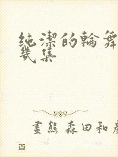 纯洁的轮舞曲有几集