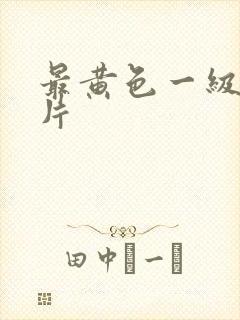 最黄色一级生活片