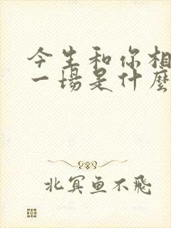 今生和你相爱的一场是什么歌