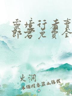 灵境行者卖报小郎君免费全本阅读