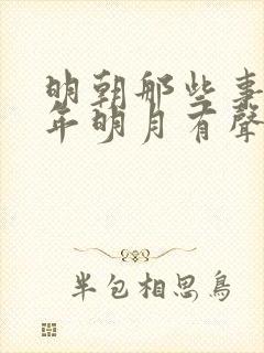 明朝那些事儿当年明月有声小说