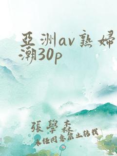 亚洲av熟妇高潮30p