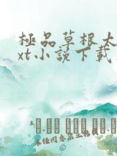 极品草根太子txt小说下载