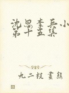 沈思李兵小说一第十五集