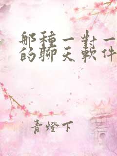 那种一对一视频的聊天软件