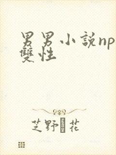 男男小说nph双性