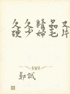 久久精品又粗又硬少妇毛片