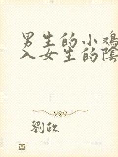 男生的小鸡鸡插入女生的阴道视频