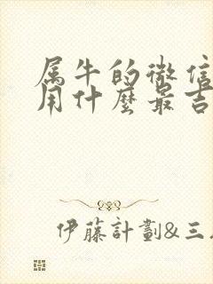 属牛的微信头像用什么最吉利