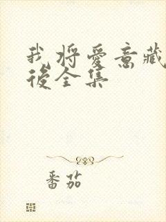 我将爱意藏在身后全集