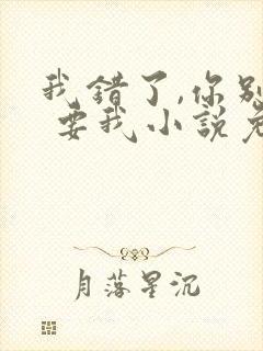 我错了,你别不 要我小说免费阅读